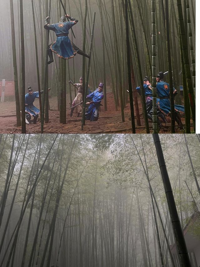 重慶永川｜天然氧吧茶山竹海