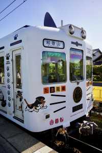 可愛的貓咪電車就在和歌山