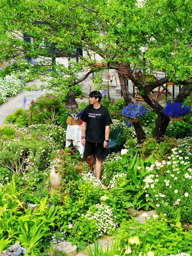 來大理！我住在了洱海邊的莫奈花園！