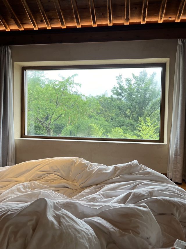 端午都去這裡太美了