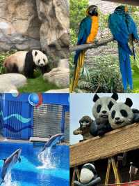 夏日避暑好去處｜香港海洋公園全攻略