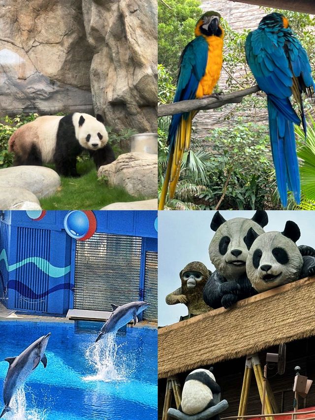 夏日避暑好去處｜香港海洋公園全攻略