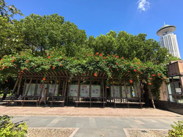 城市公園圖鑑：上海人民公園