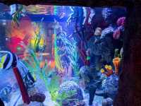 沈陽遛娃| SeaLife海洋探索中心