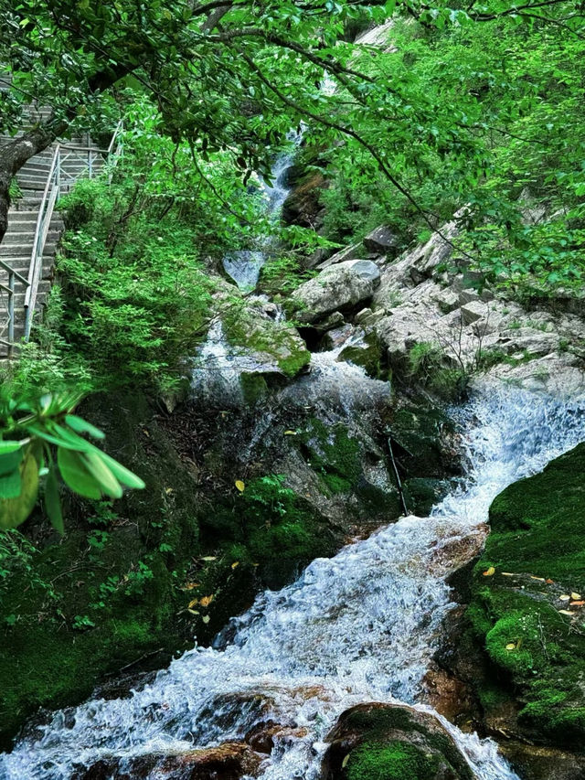 朱雀國家森林公園