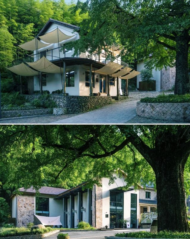 大樂之野·碧塢隱匿於大山深處的侘寂美宿