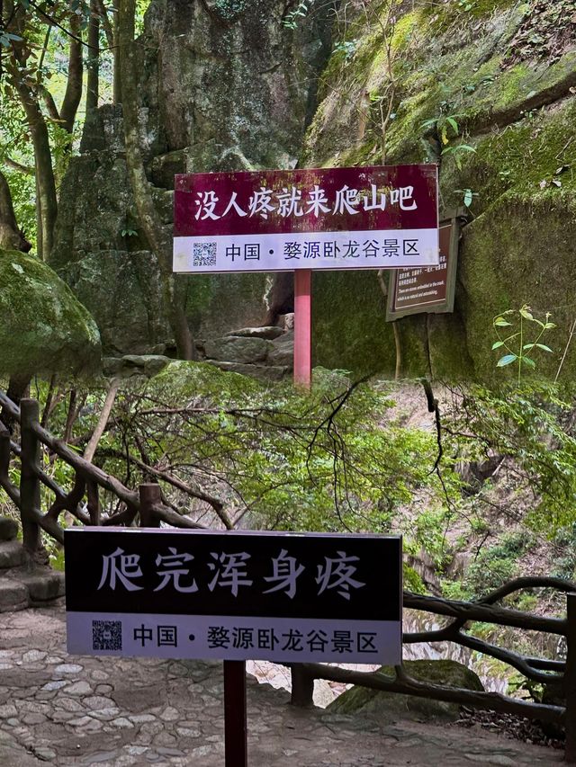 20℃的峽谷，給你意想不到的清涼夏日