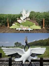 扎龍生態旅遊區‖丹頂鶴棲息濕地