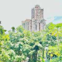 種草澳門白鴿巢公園