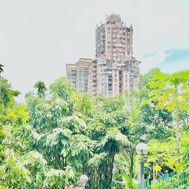 種草澳門白鴿巢公園