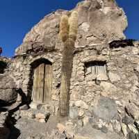 Cactus island!