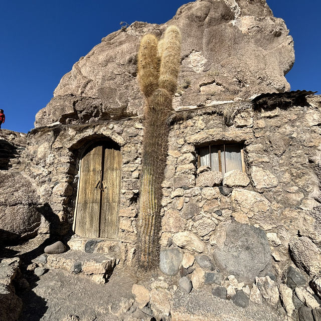Cactus island!