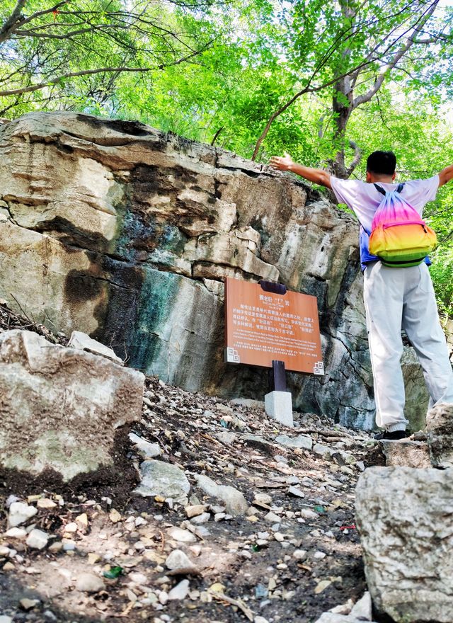 青州雲門山 夫妻樹 落水洞遺跡與蓑老臥岩