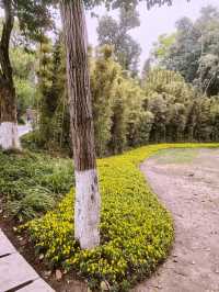 綿陽第一山富樂山，免費景點（三）