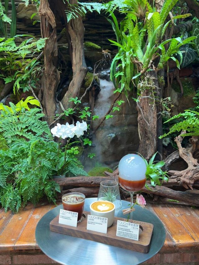 昆明｜藏在市中心裏的熱帶雨林……。