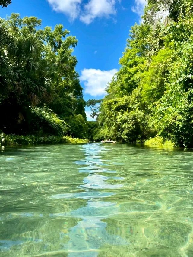  Kelly Park Water Sports Kayaking Wonderful Experience🌹🤩