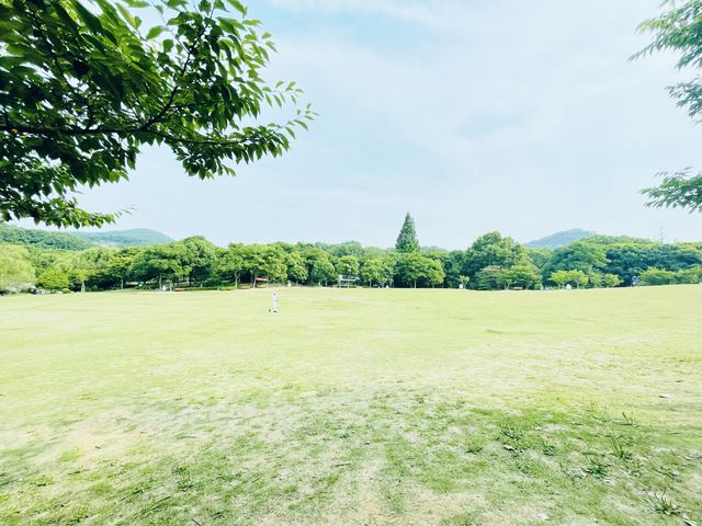 你可以永遠相信鎮江南山的景色。