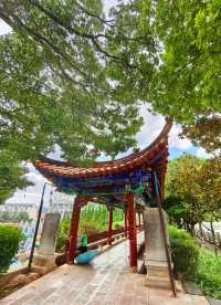 玉溪避暑之選：寧州公園。