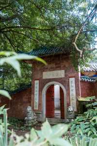 衡山竹海，十一避世秘境。