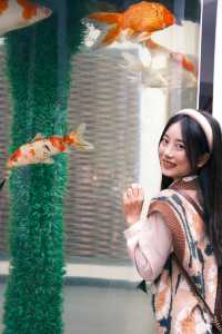 來成都玩一定不能錯過動物園。