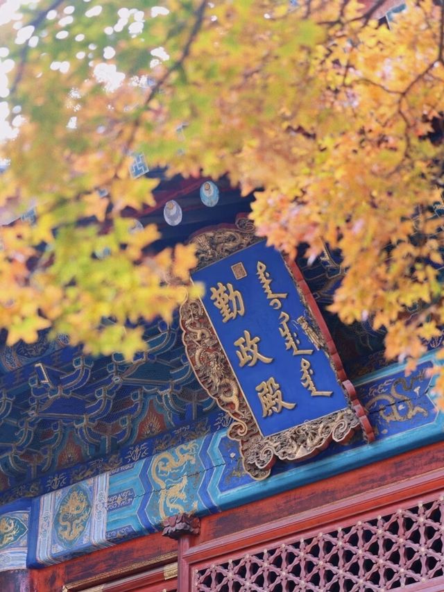 別來別來我一個人看就足夠了。
