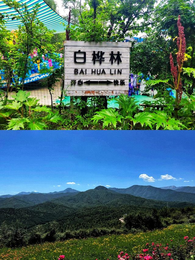 光頭強的家被我找到啦。