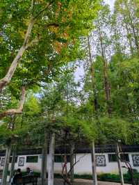 遊覽上海康健園 了解其前生今世。