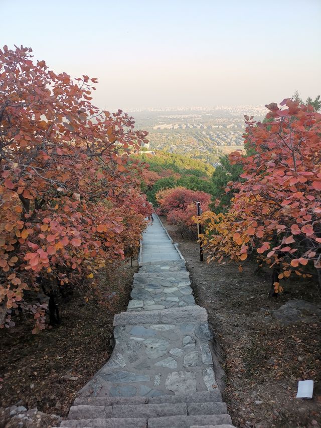 北京西山國家森林公園。