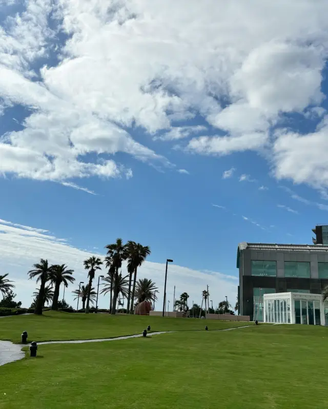 Jeju Haevichi Resort: A luxurious journey embraced by nature.