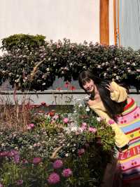 11月麗江｜住進古城莫奈花園之中。
