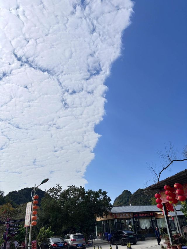 又是滿山遍嶺紅柿季。