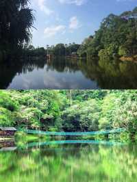 海龜保護基地：山打根的生態之旅。