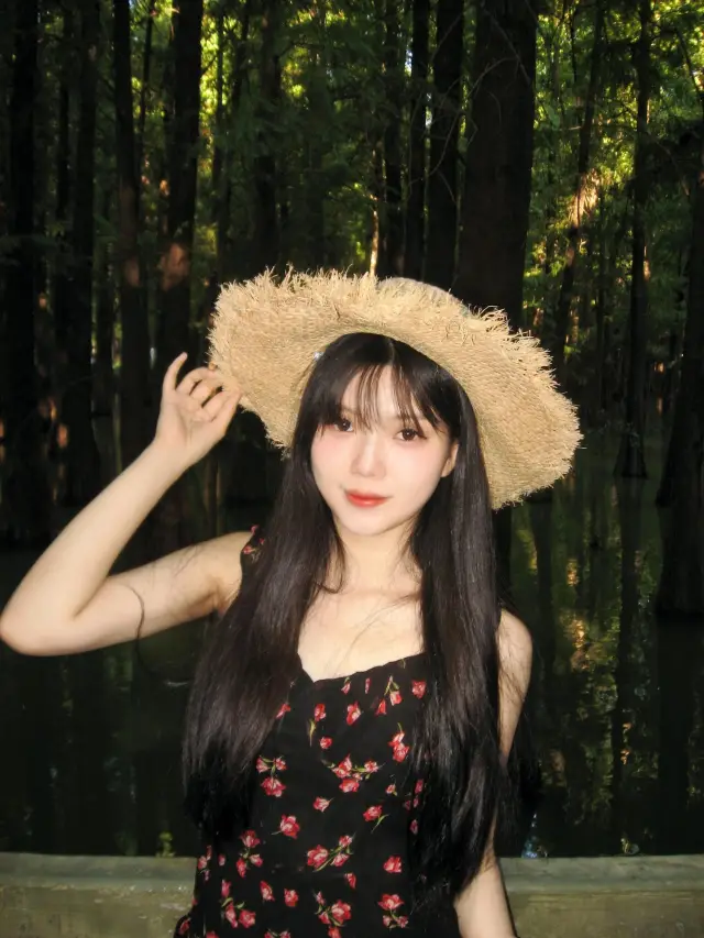 เขาเจ็ดดาวเมืองจ้าวชิง