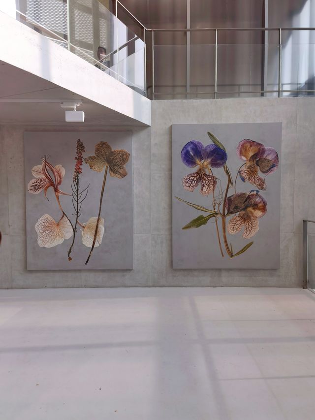 龍美術館建築的獨特性，與「繪畫」作品相得益彰。