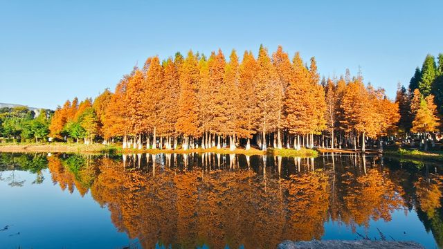 三刷昆明，滇池這些地方真的太美了。