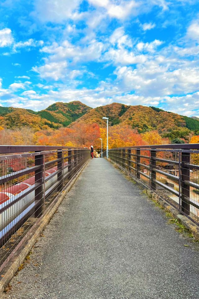 Stunning Autumn Foliage in Japan: Day Trips Around Tokyo