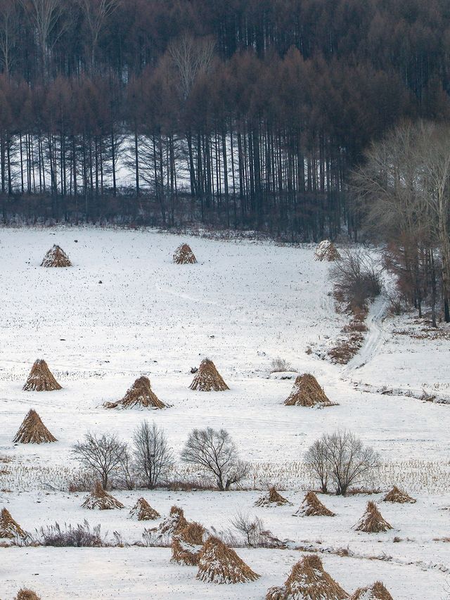 返璞歸真東北味兒拉滿 吉林二合雪鄉旅遊攻略