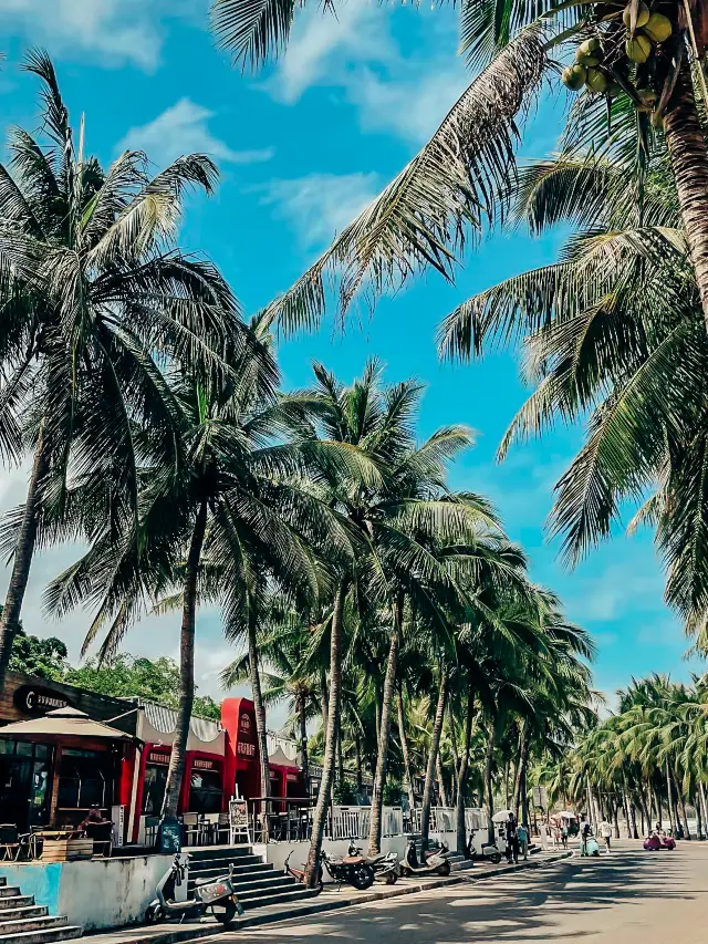 Reverse Tourism: Riyue Bay Surfing Base, Wanning, Hainan