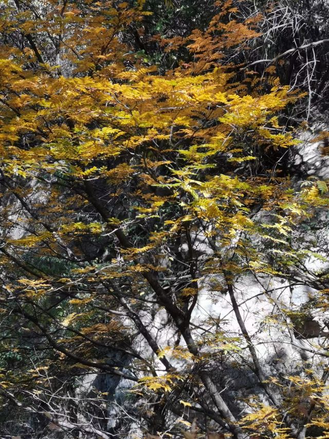 介休綿山
