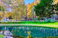 深秋的武漢解放公園——紅得發紫