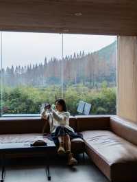 莫干山聽澗|隱於山野的世外民宿