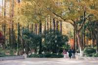 上海紅葉季｜閔行紅園，我言冬日勝春朝