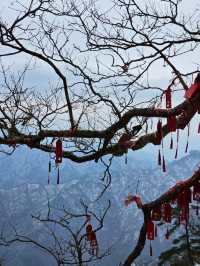 老君山冬季夢幻之旅：一場冰雪奇緣的邂逅