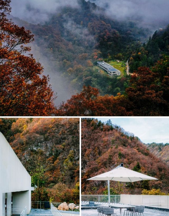 秦嶺秘境超治癒的森系民宿