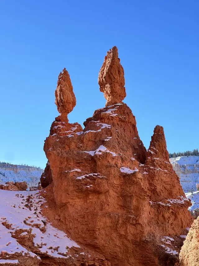 미국 13일 여행 초보자를 위한 상세 가이드