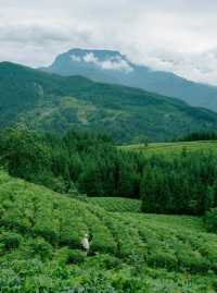 高廟古鎮：藏在四川的綠野仙蹤