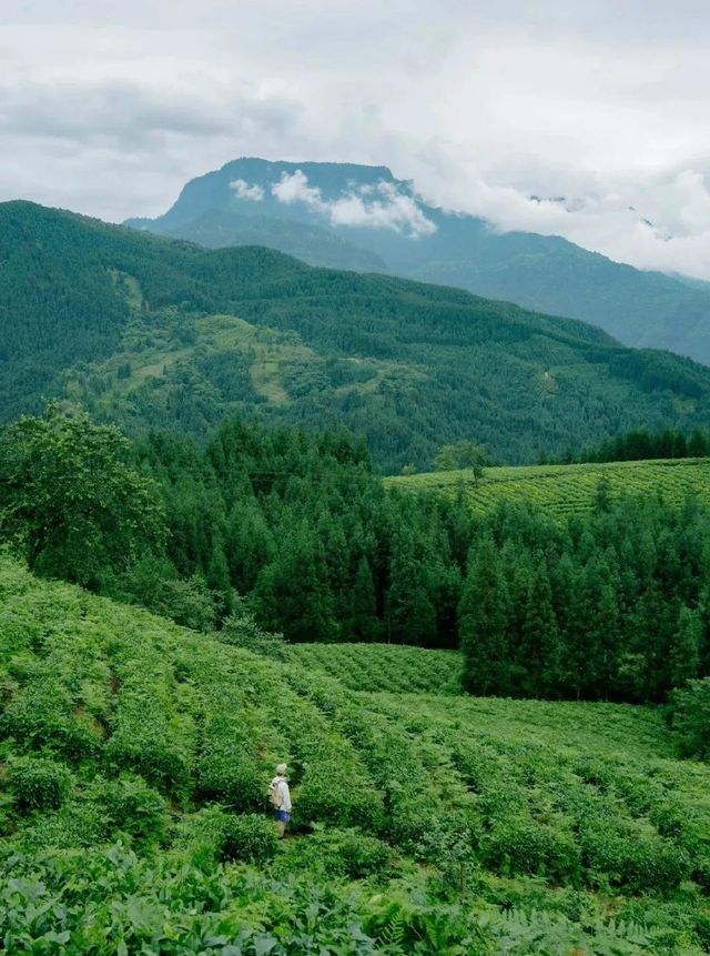高廟古鎮：藏在四川的綠野仙蹤