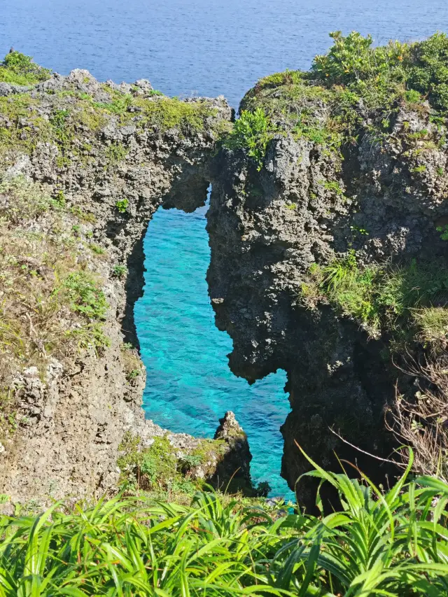 6일간 일본 심층 여행 1인당 4천 위안으로 초특가!