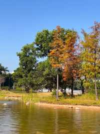 深圳香蜜公園