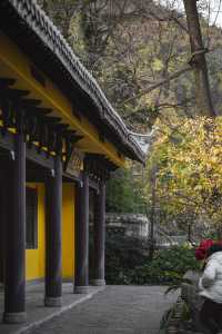 桂林冬日旅行推薦，這座低調的古風公園應該有姓名
